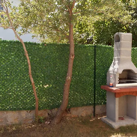 Cesur 2 * 费特希耶